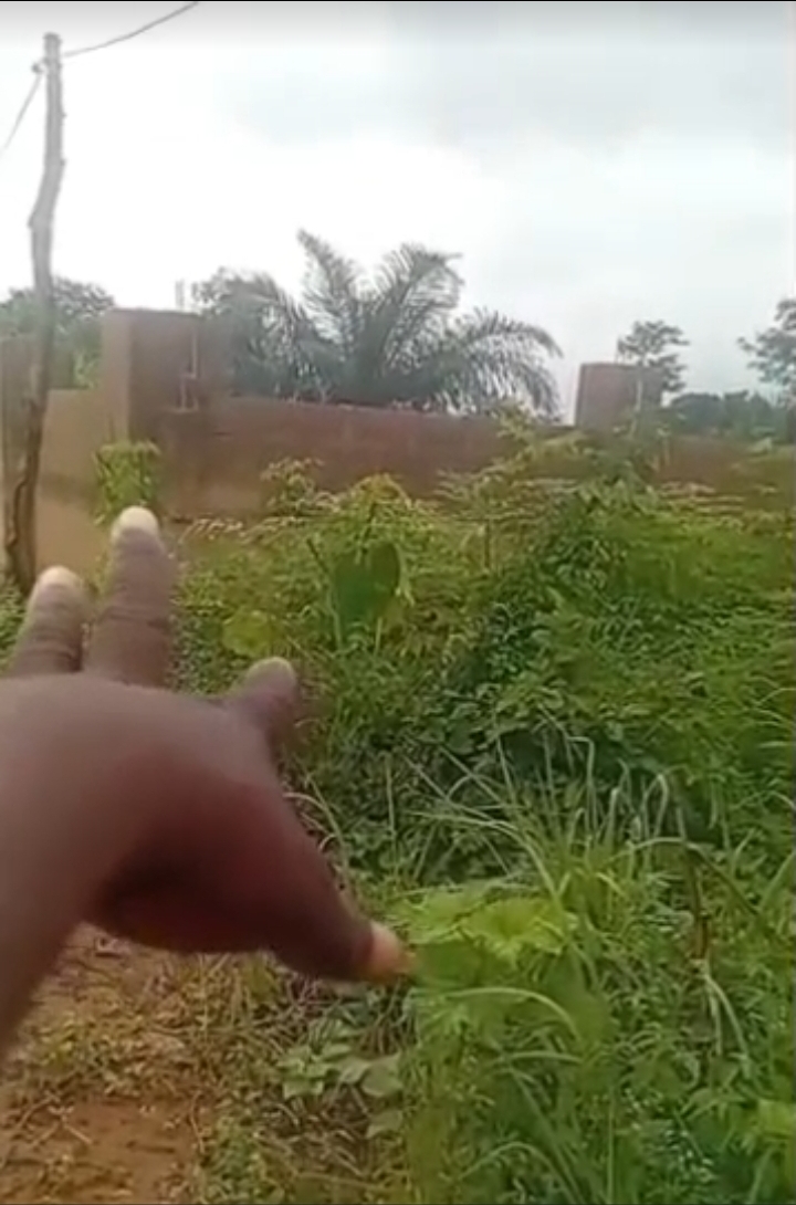 Land for Sale in EMENE, Enugu - Image 3