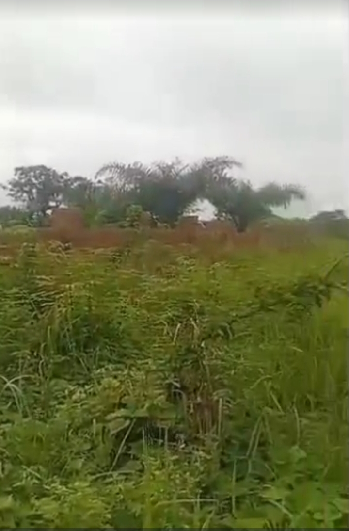Land for Sale in EMENE, Enugu - Image 1