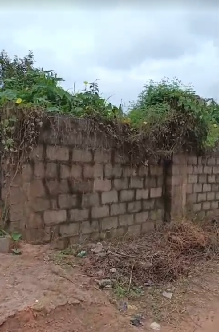 Land for Sale in THINKERS CORNER, Enugu - Image 2