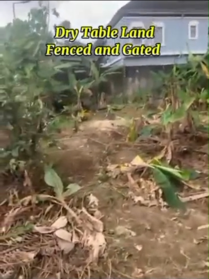 Land for Sale in ENEKA LINK ROAD, Rivers - Image 4