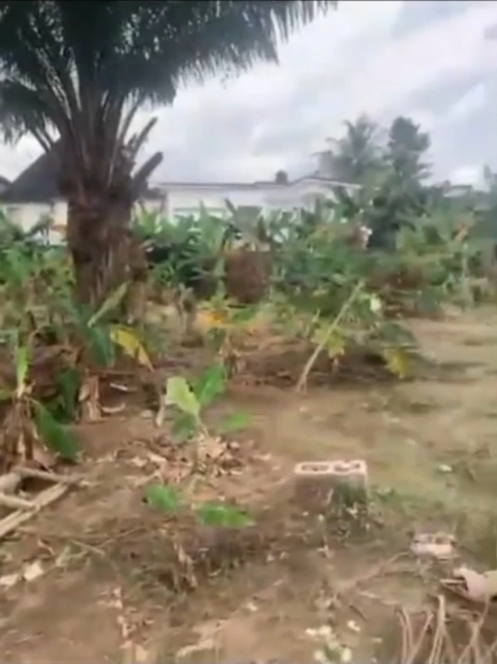 Land for Sale in ENEKA, Rivers - Image 3