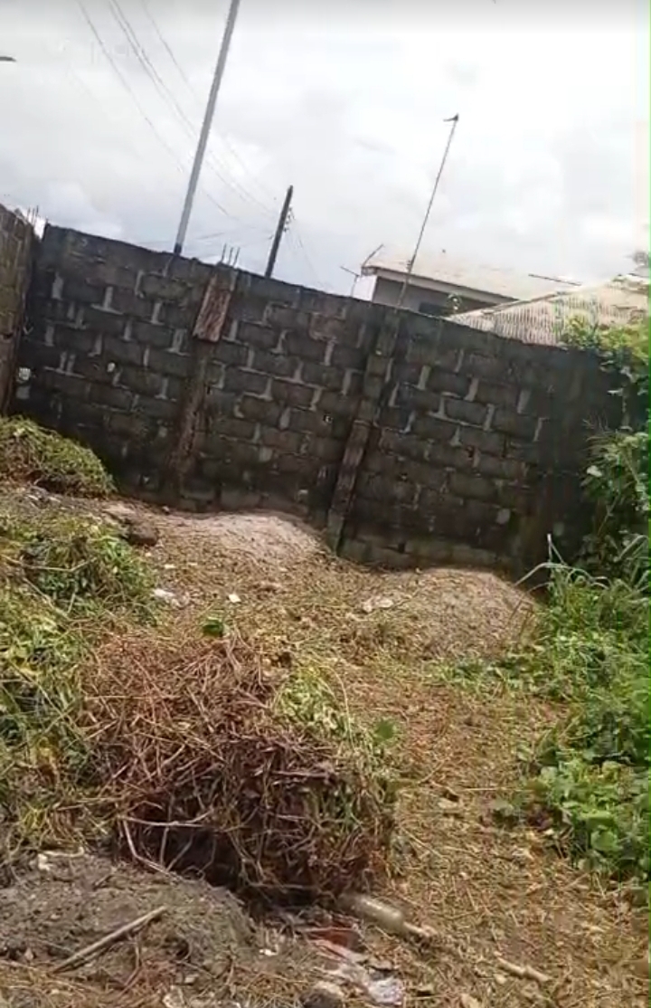 Land for Sale in RUMUODOMAYA, Rivers - Image 2