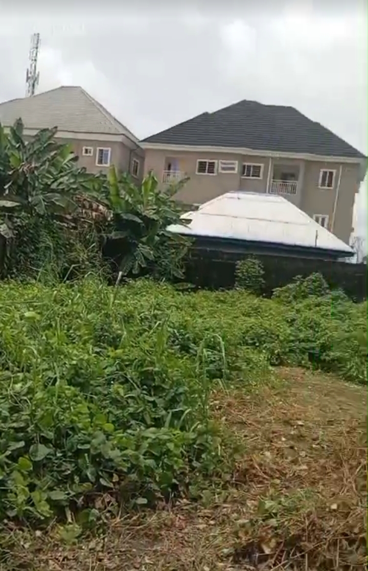 Land for Sale in RUMUODOMAYA, Rivers - Image 3