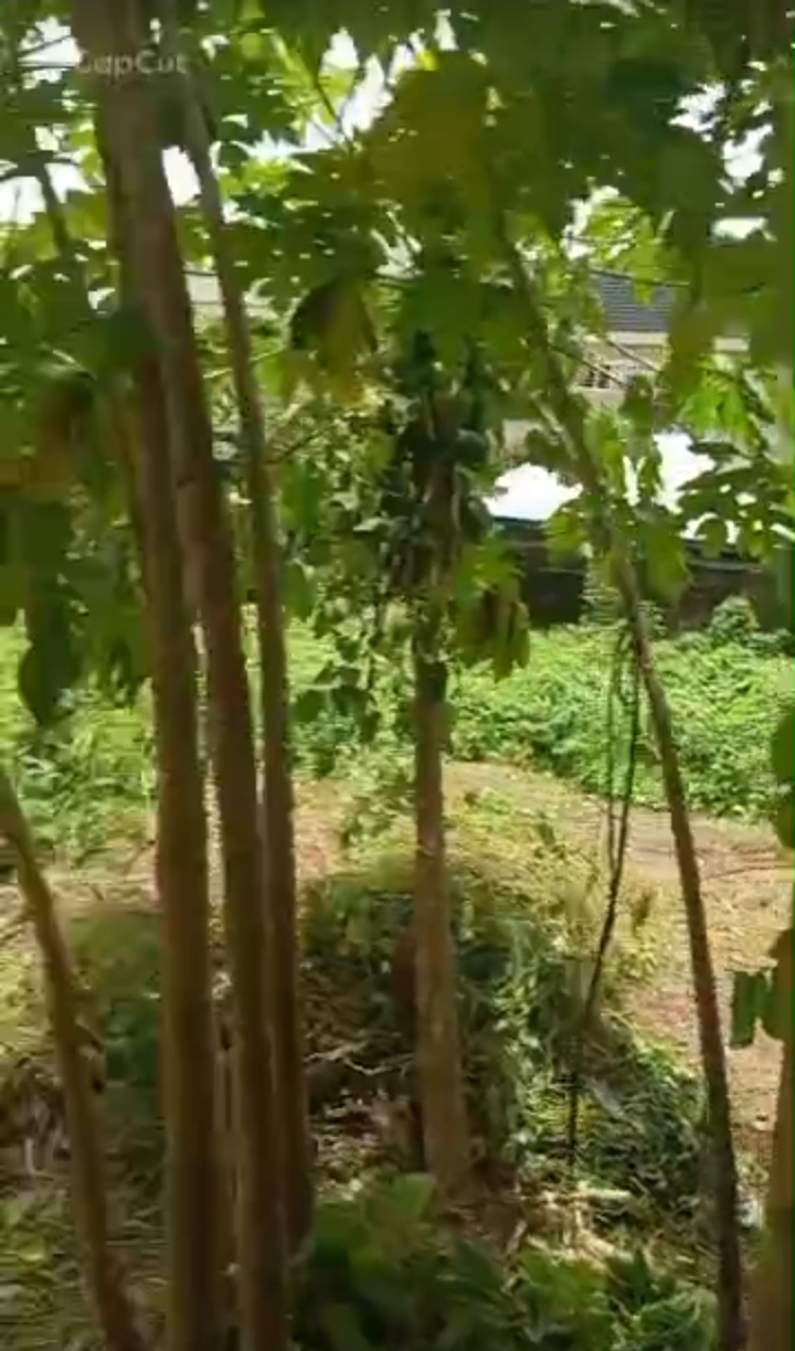 Land for Sale in RUMUODOMAYA, Rivers - Image 4