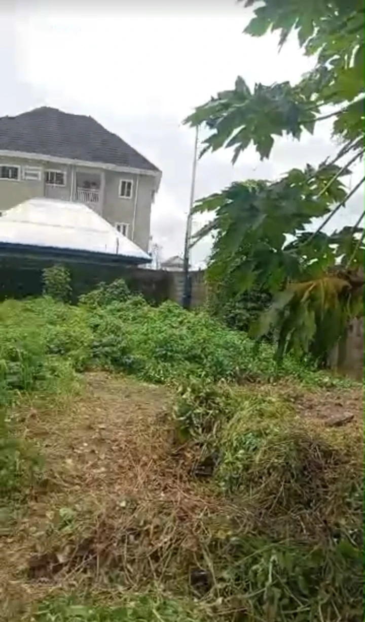 Land for Sale in RUMUODOMAYA, Rivers - Image 3