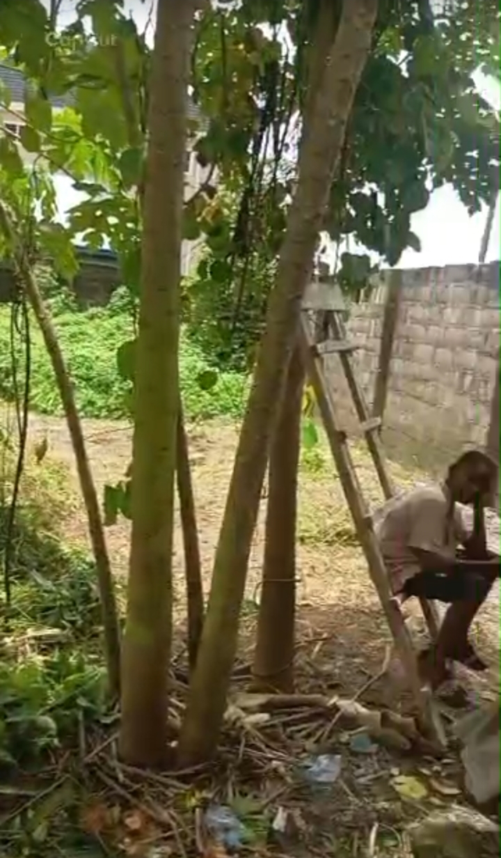 Land for Sale in RUMUODOMAYA, Rivers - Image 2
