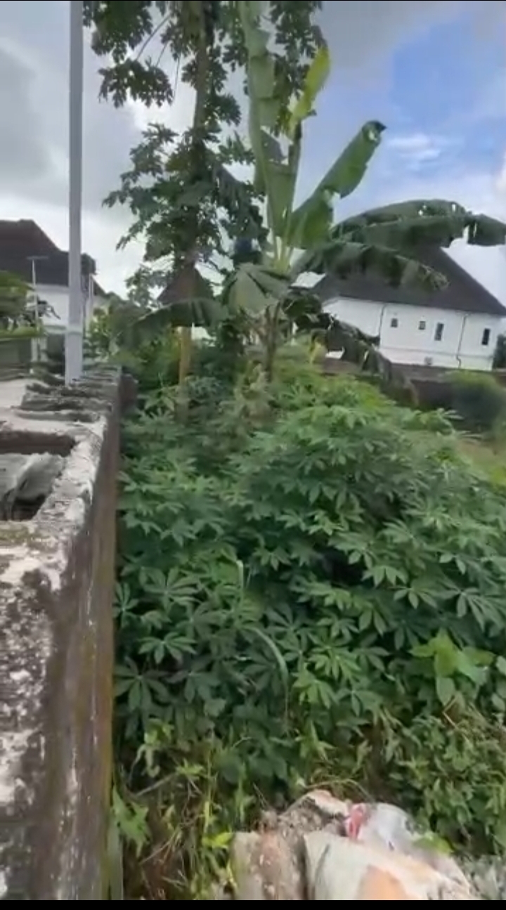 Land for Sale in ENEKA, Rivers - Image 1