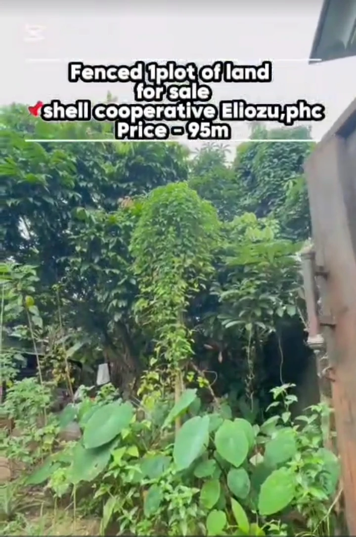 Land for Sale in ENEKA LINK ROAD, Rivers - Image 2