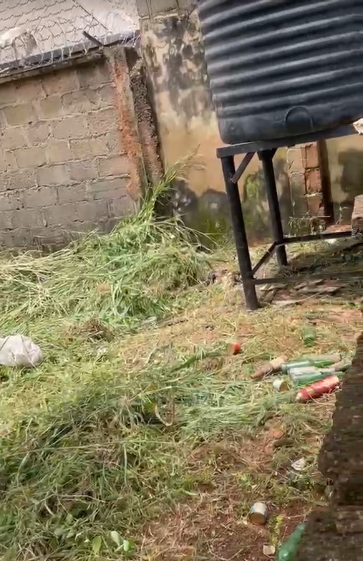 Land for Sale in LOMALINDA EXTENSION, Enugu - Image 2