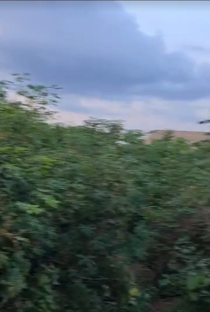 Land for Sale in Premier layout, Enugu - Image 2