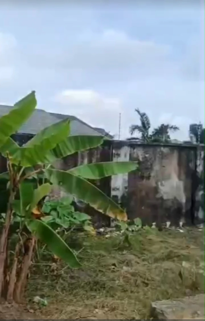 Land for Sale in Elelenwo, Rivers - Image 1