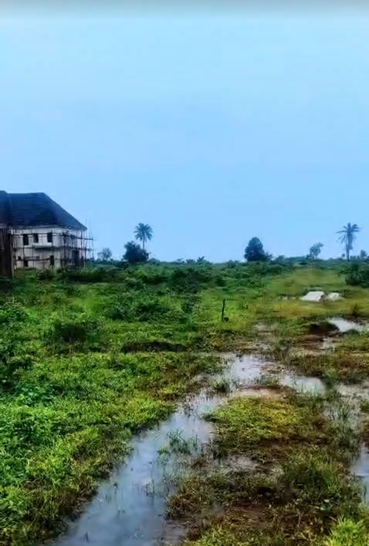 Land for Sale in APPLE GARDEN, Rivers - Image 2