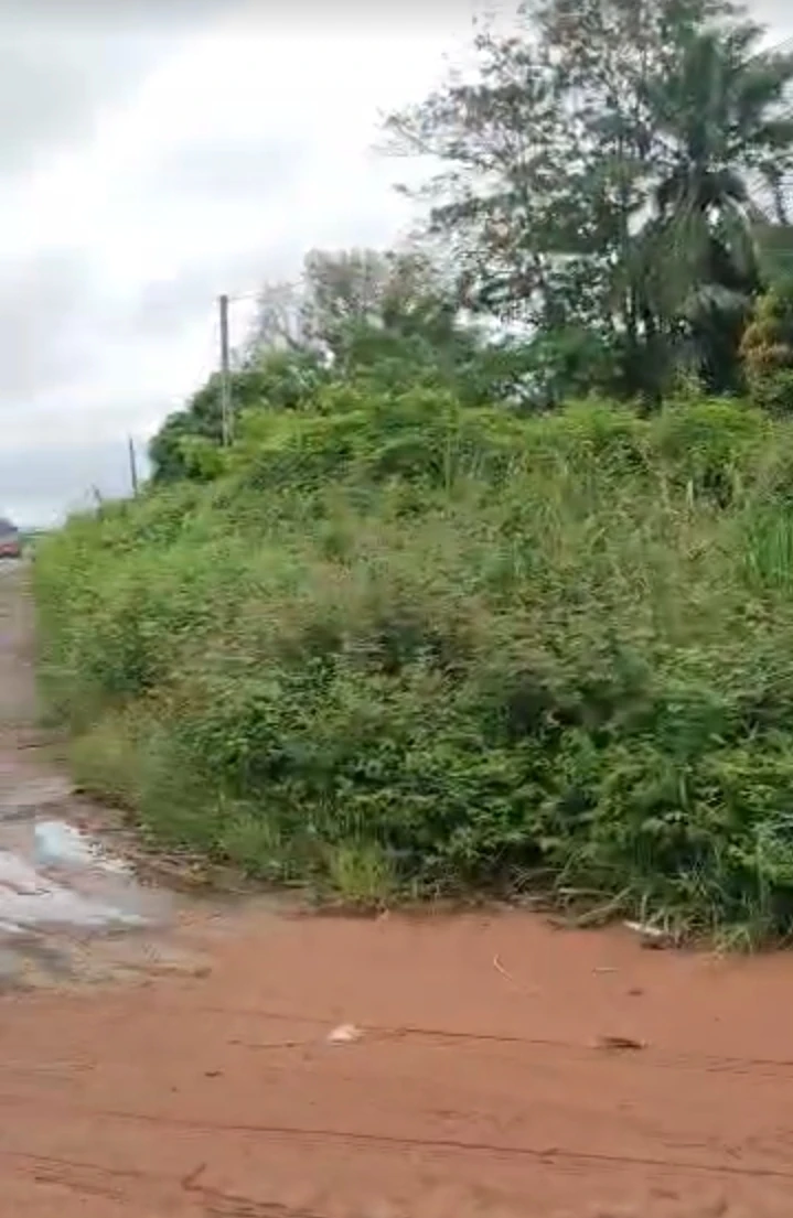 Land for Sale in EMENE, Enugu - Image 1