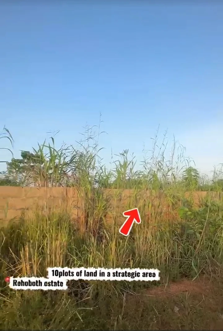 Land for Sale in NIKE, Enugu - Image 1