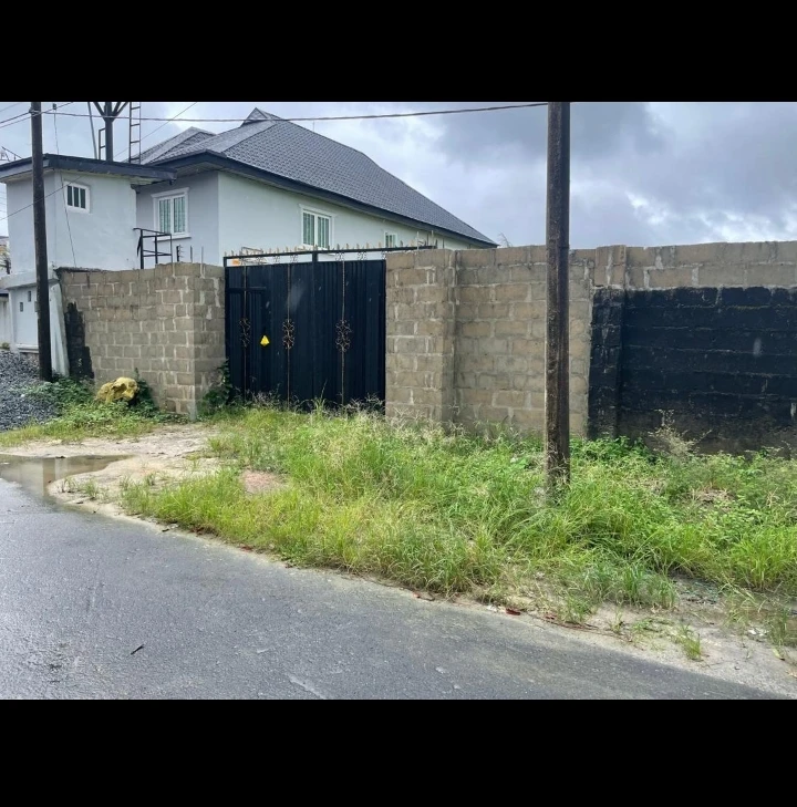 Land for Sale in ODILI ROAD, Rivers - Image 1