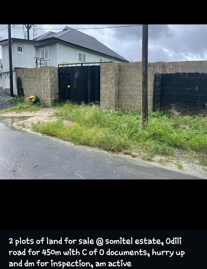 Land for Sale in ODILI ROAD, Rivers - Image 2