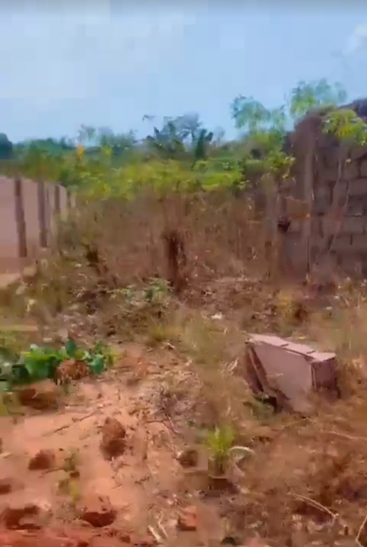 Land for Sale in TRANS-EKULU, Enugu - Image 1