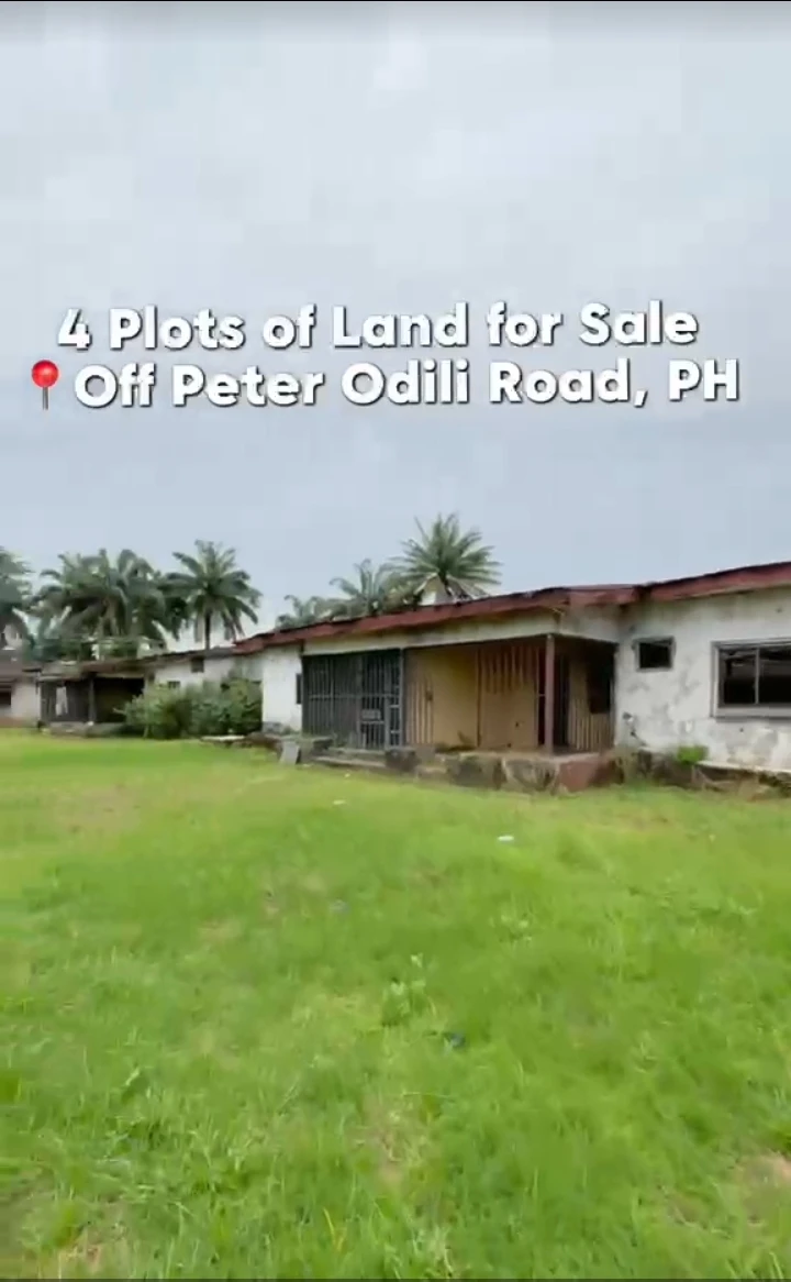 Land for Sale in PETER ODILI, Rivers - Image 3