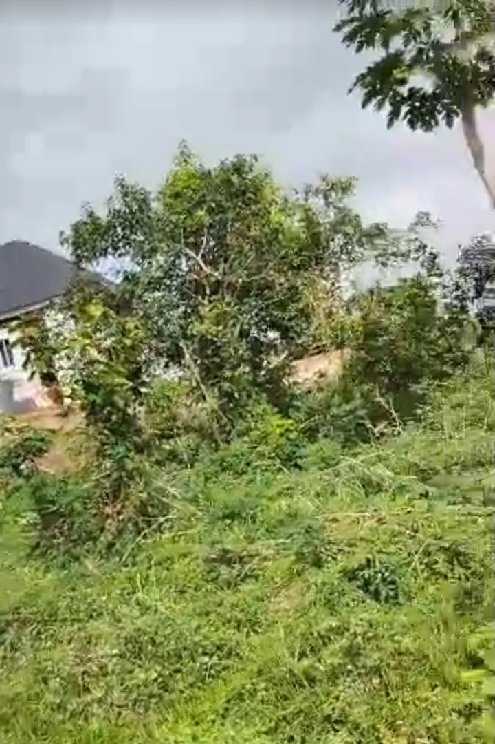 Land for Sale in TRANSELODRONE, Enugu - Image 1