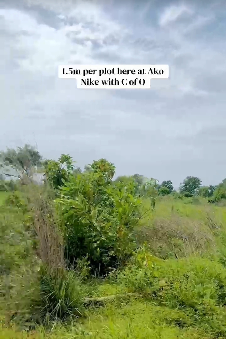 Land for Sale in AKO NIKE, Enugu