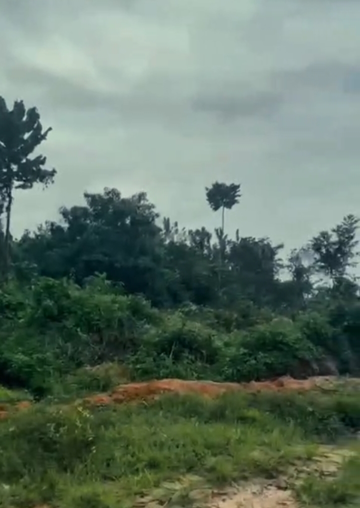 Land for Sale in TRANS-WOJI, Rivers