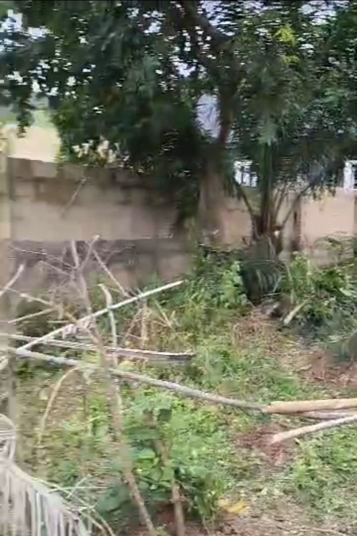 Land for Sale in TRANSELODRONE, Enugu