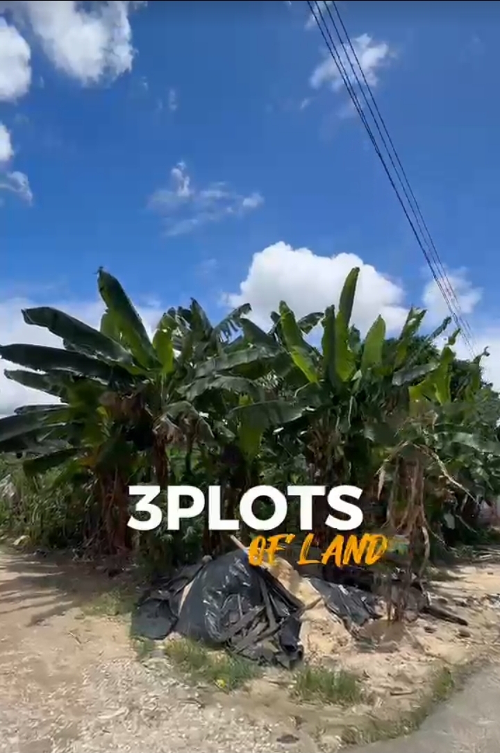 Land for Sale in RUKPOKWU, Rivers