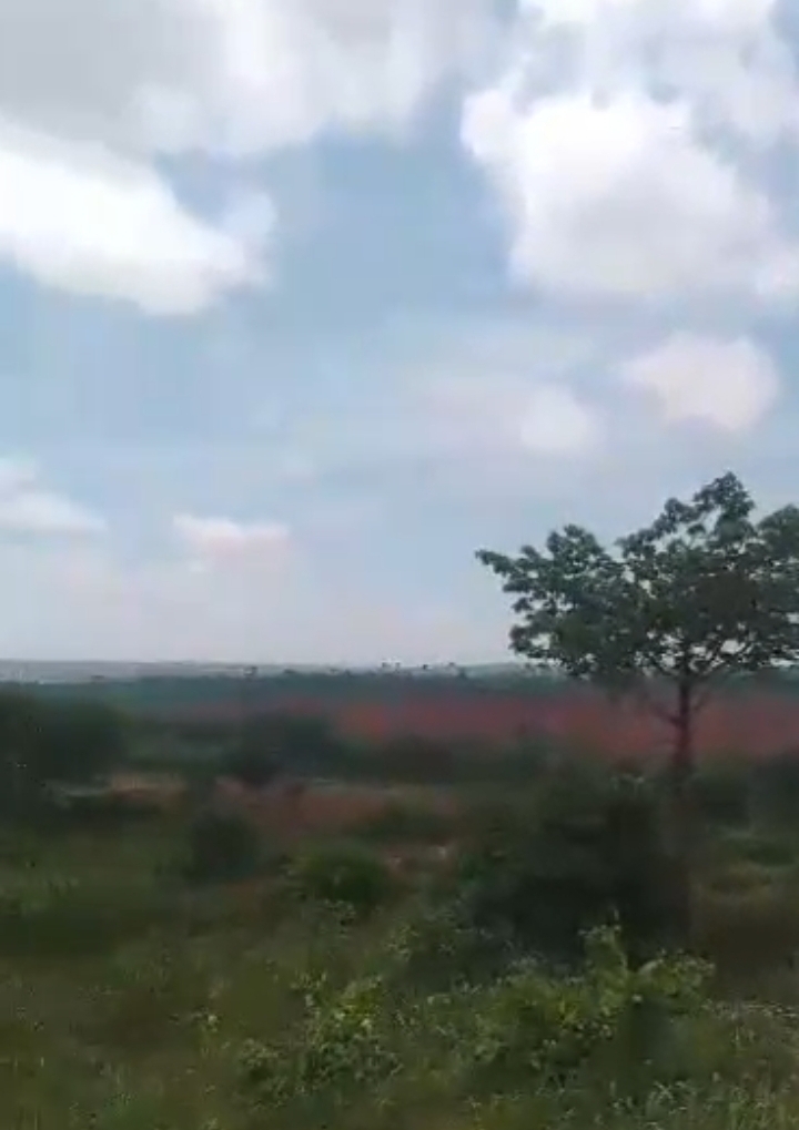 Land for Sale in Iselle, Delta