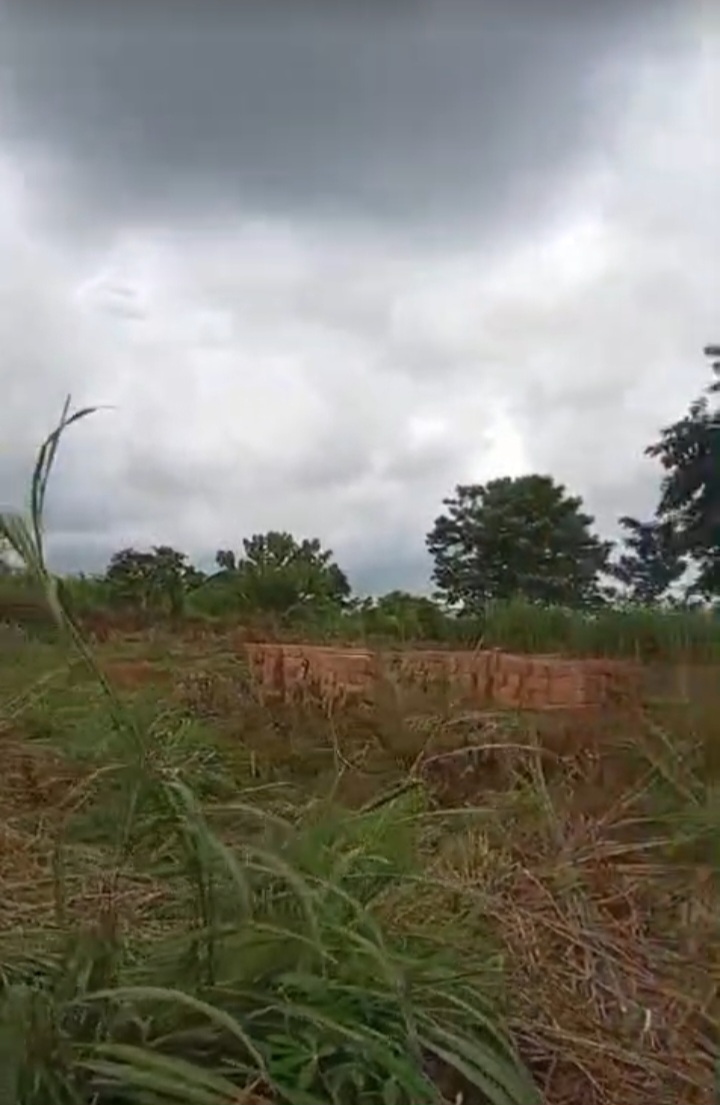 Land for Sale in TRANS-EKULU, Enugu