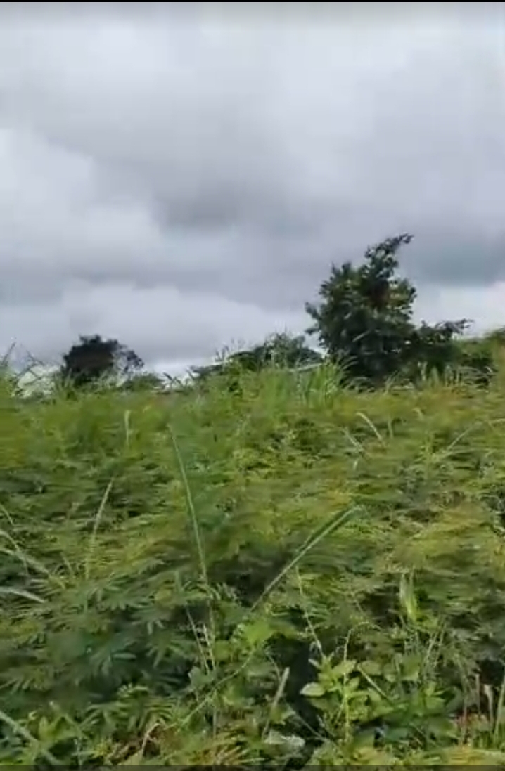 Land for Sale in NIKE, Enugu