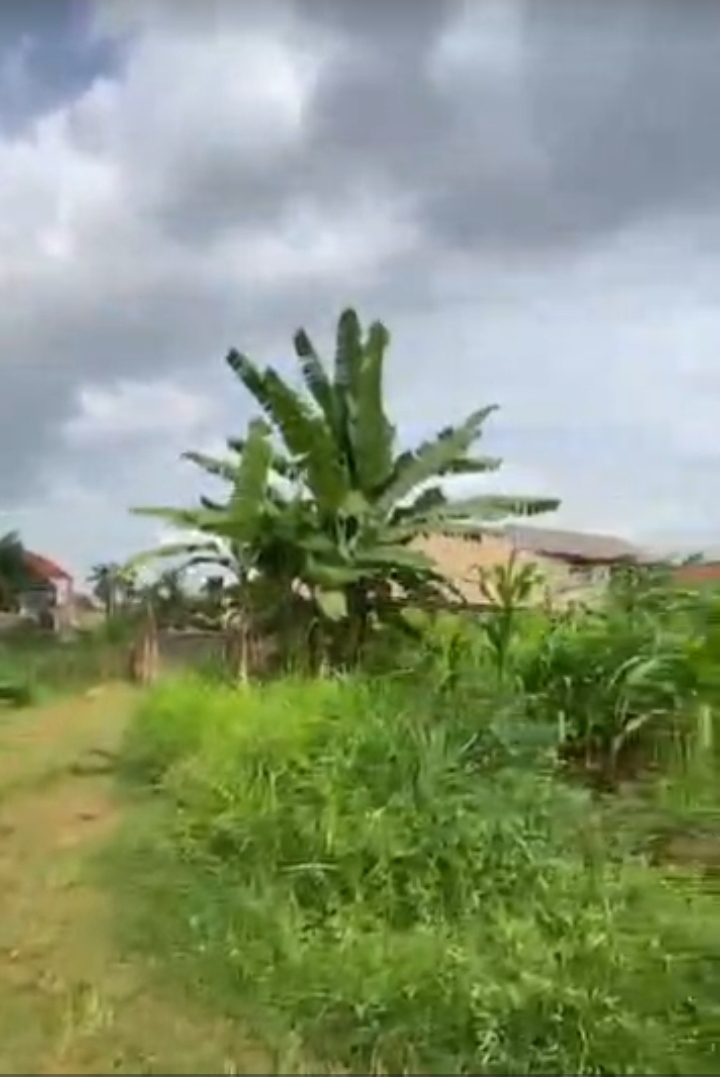 Land for Sale in Sunrise Estate, Enugu