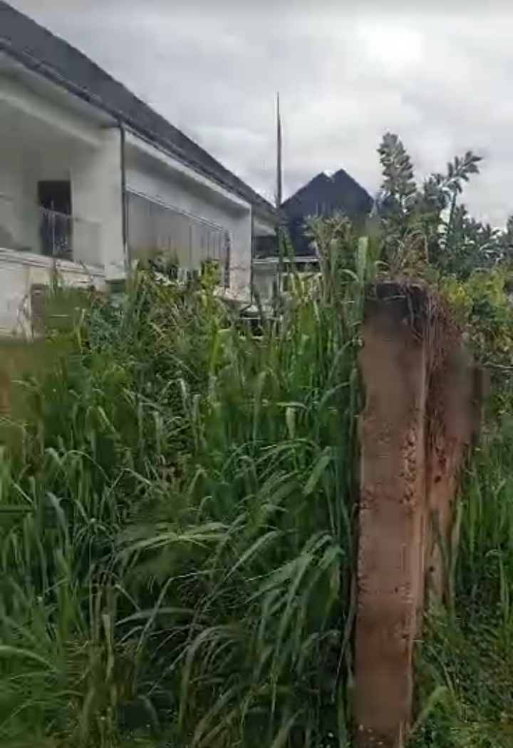 Land for Sale in Valley Estate, Enugu