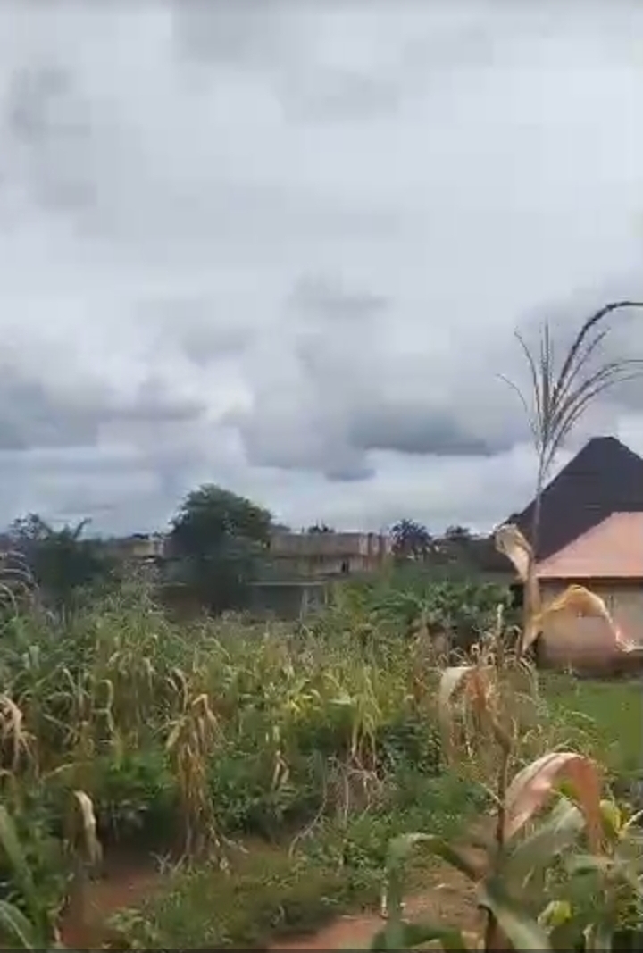 Land for Sale in HARMONY ESTATE, Enugu