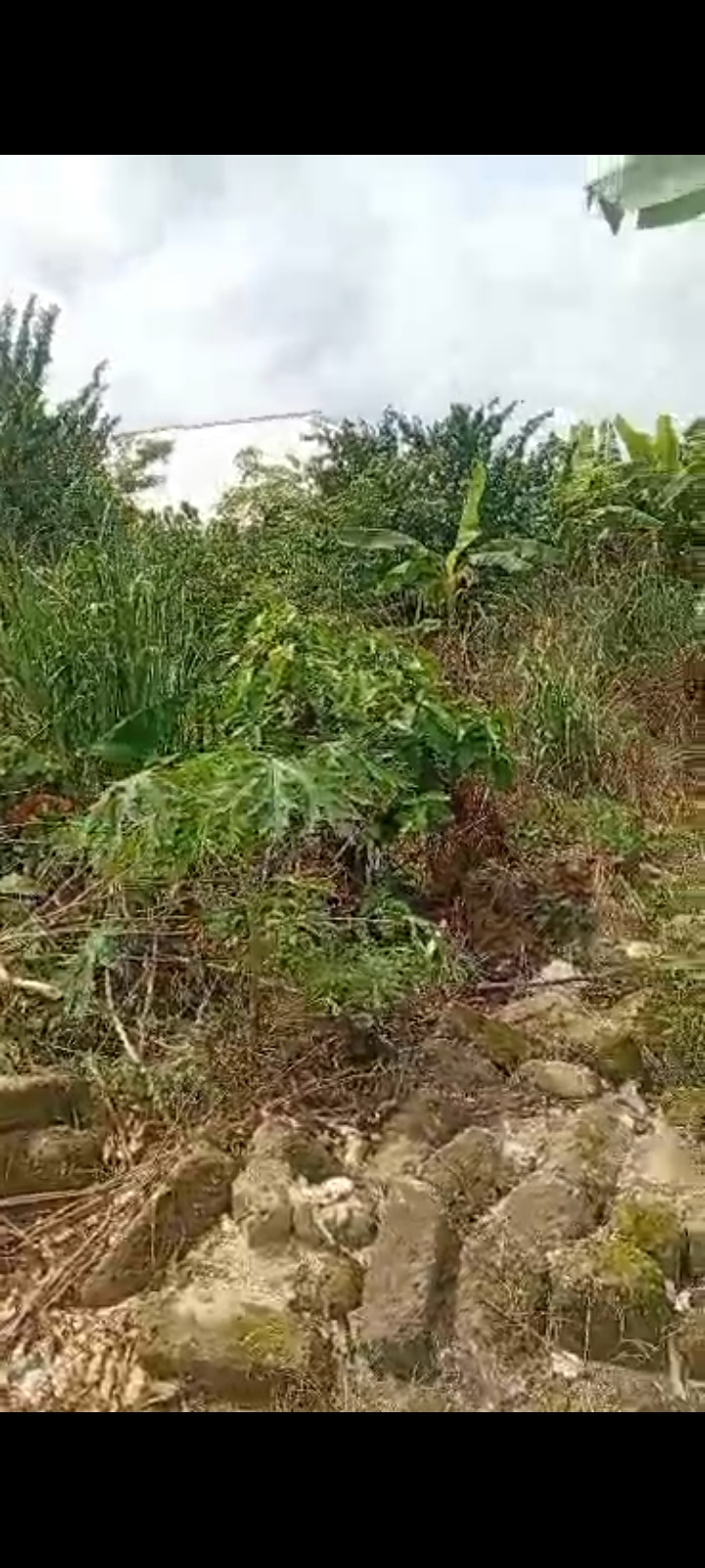 Land for Sale in Jeddo, Delta