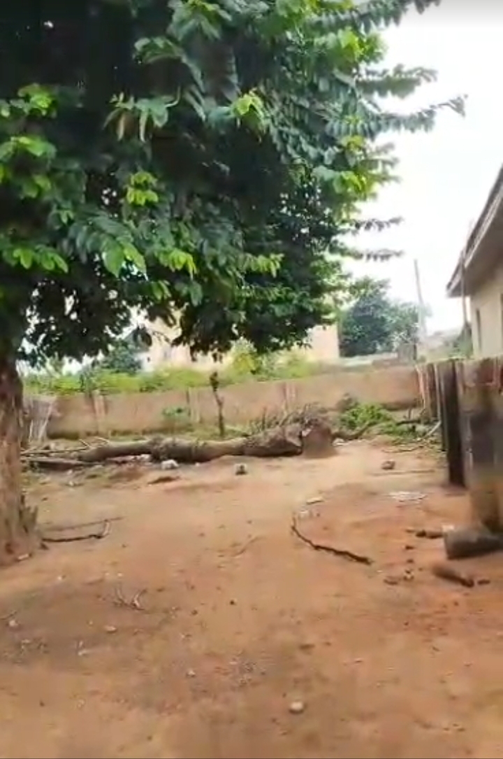 Land for Sale in Trans-rodrome, Enugu