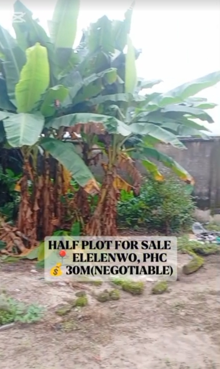 Land for Sale in ELELENWO, Rivers