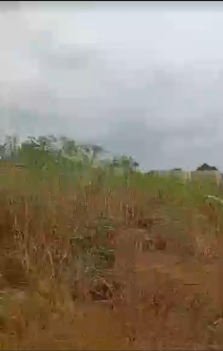 Land for Sale in IBUSA ROAD, Delta