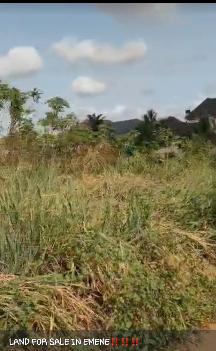 Land for Sale in EMENE, Enugu