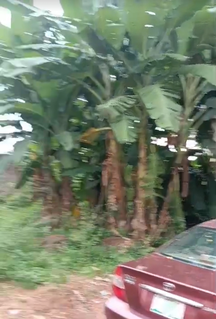 Land for Sale in UWANI, Enugu