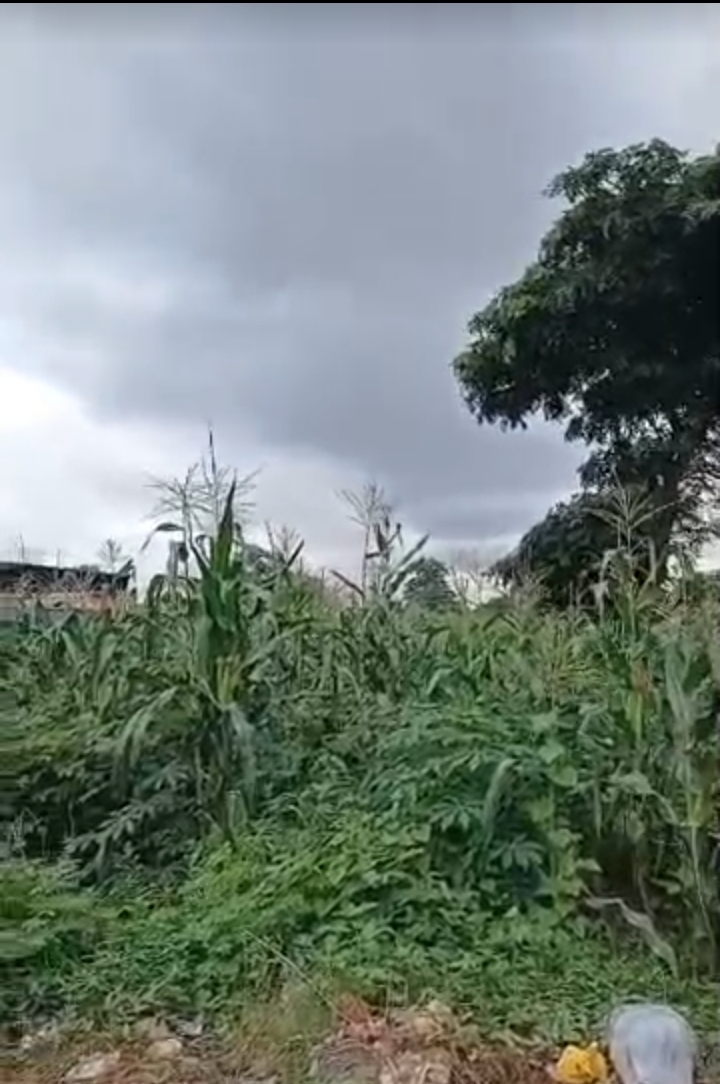 Land for Sale in New Heaven Extension, Enugu