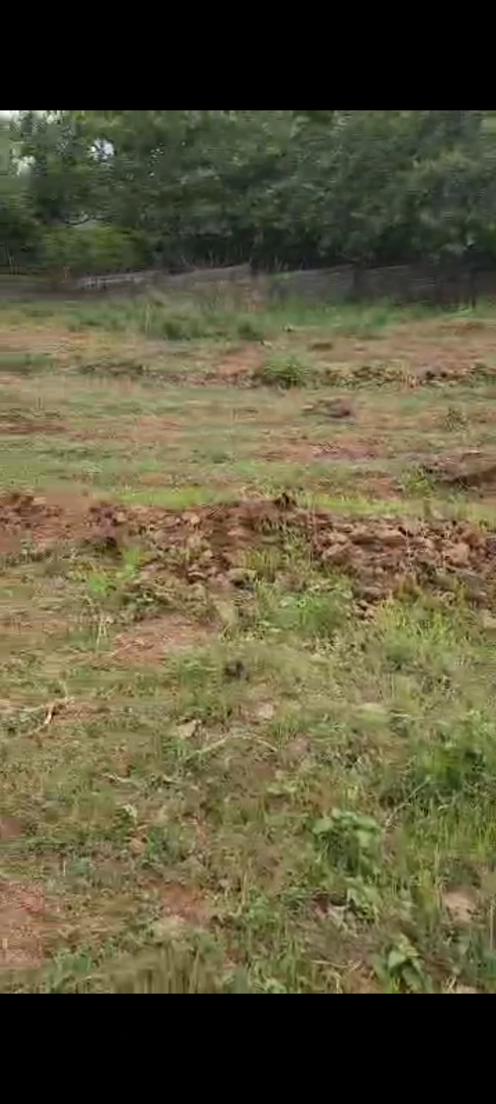 Land for Sale in Guzape, FCT - Image 3