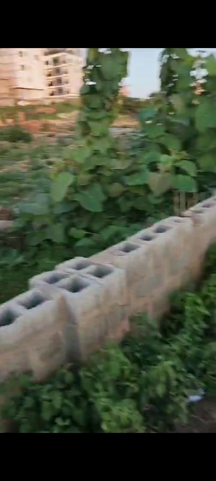 Land for Sale in Guzape main, FCT - Image 3