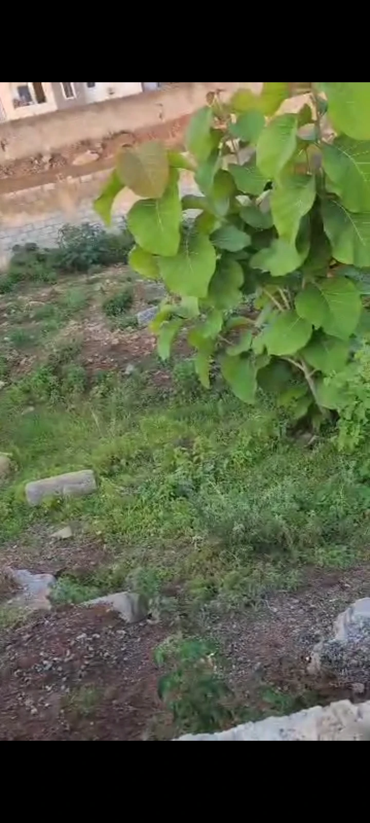 Land for Sale in Guzape main, FCT cover picture