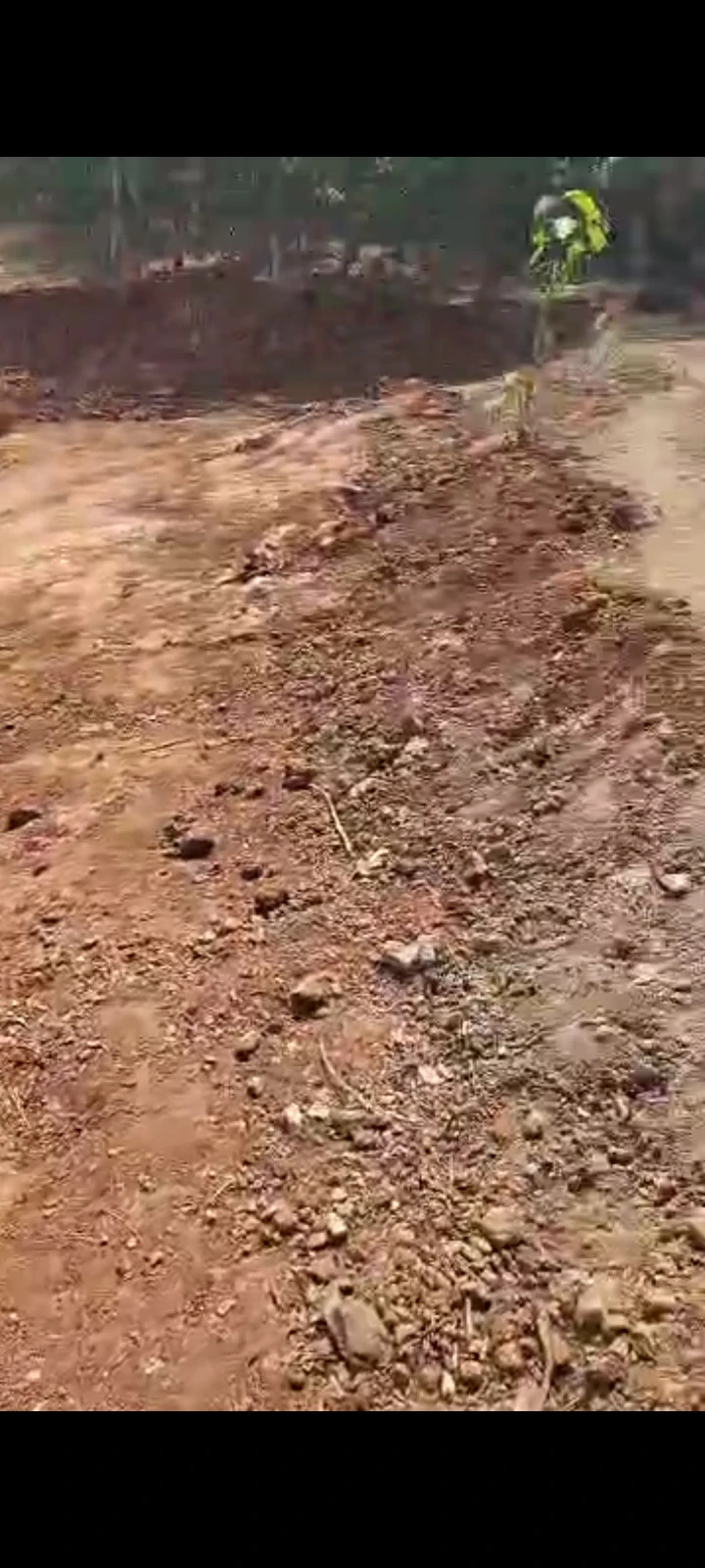 Land for Sale in Asokoro, FCT