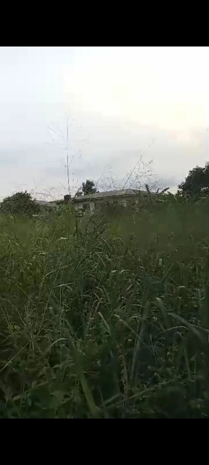 Land for Sale in Elelenwo, Rivers - Image 1