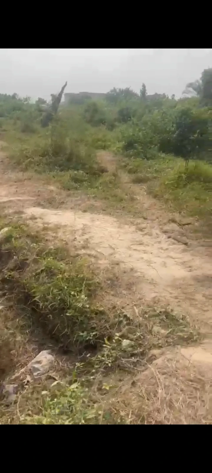 Land for Sale in Cedarwood Estate, Rivers - Image 1