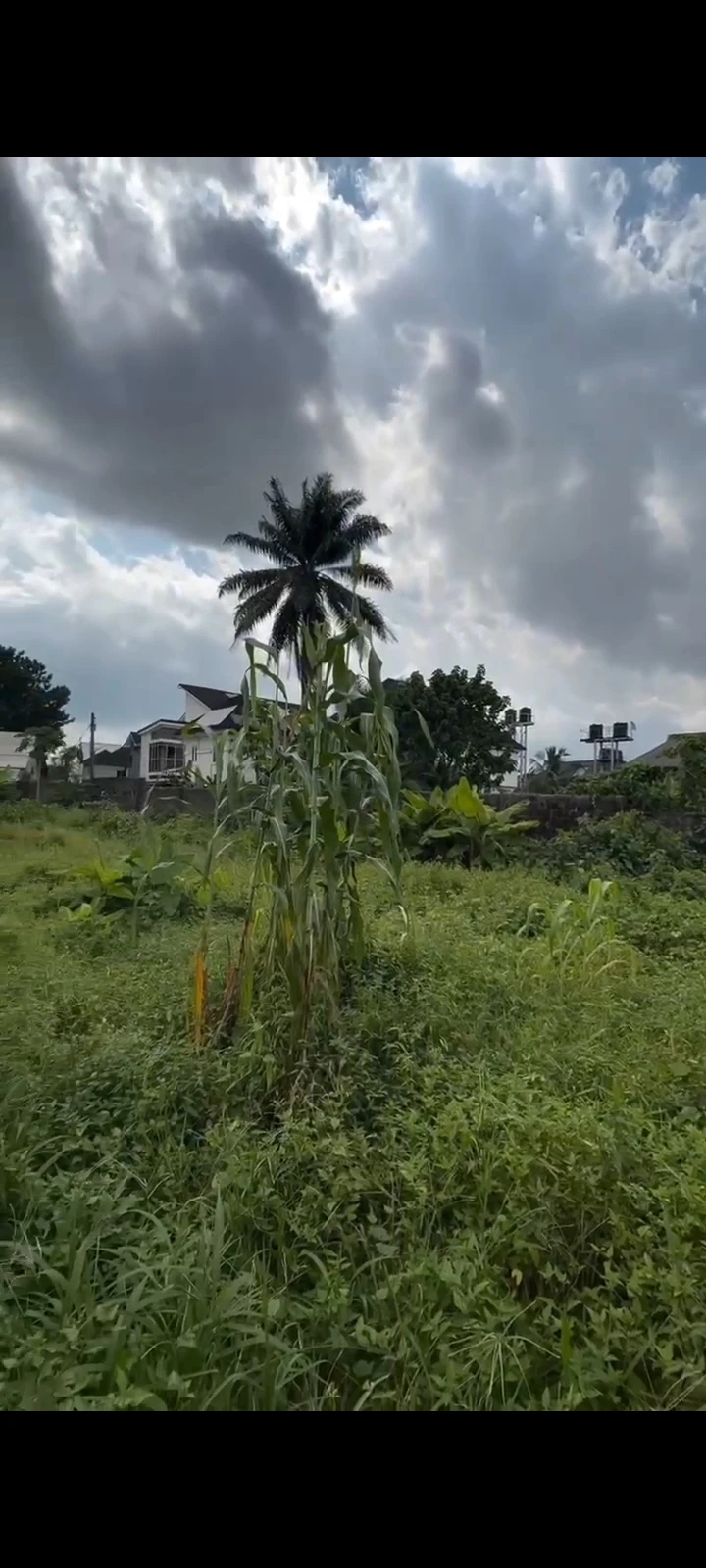 Land for Sale in Oasis Gardens Estate,  Rukpakulusi,, Rivers - Image 1