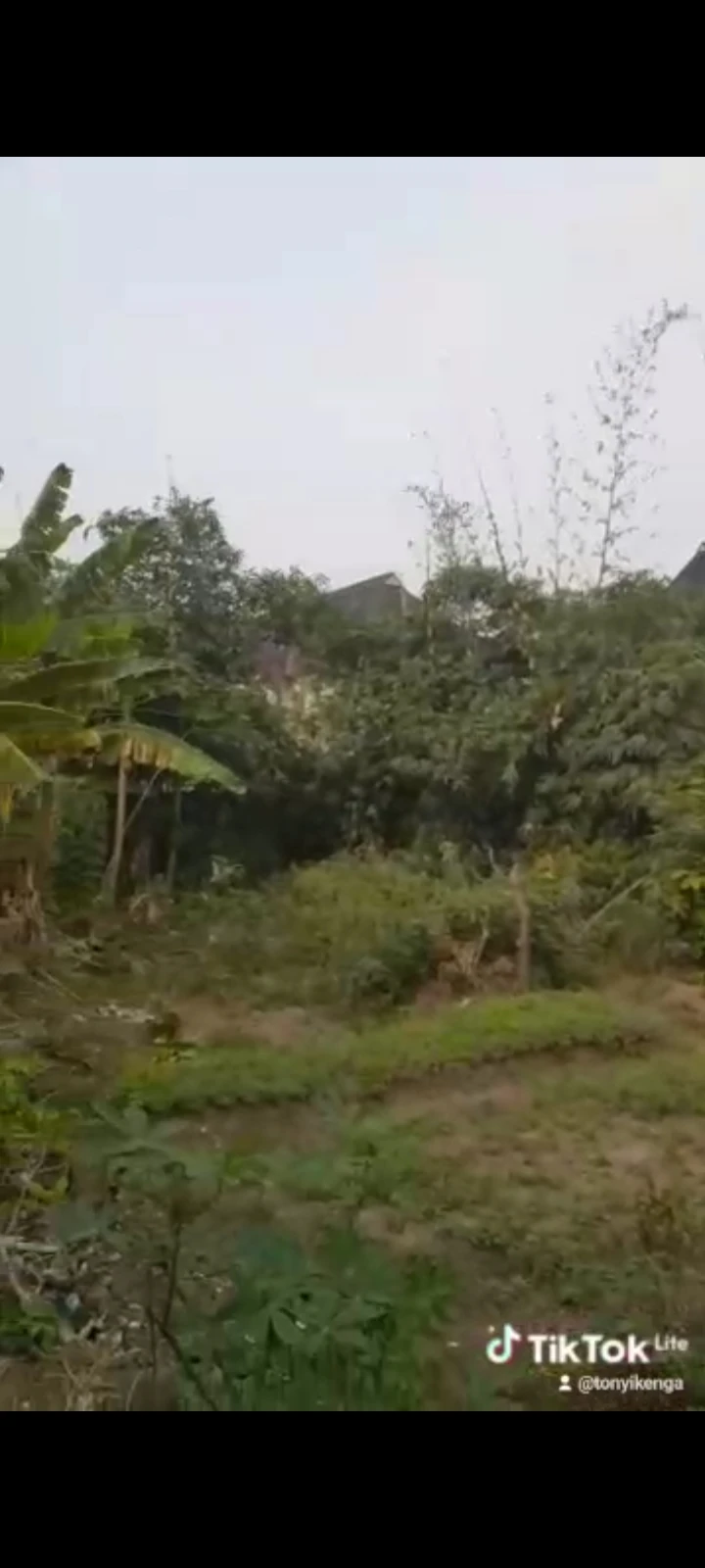 Land for Sale in Rukpokwu, Rivers - Image 1
