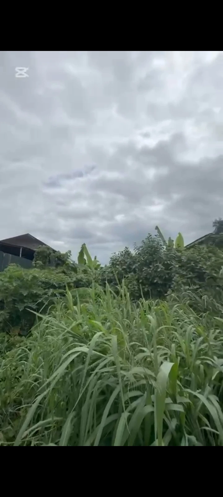 Land for Sale in Alakiah Road, Rivers - Image 1