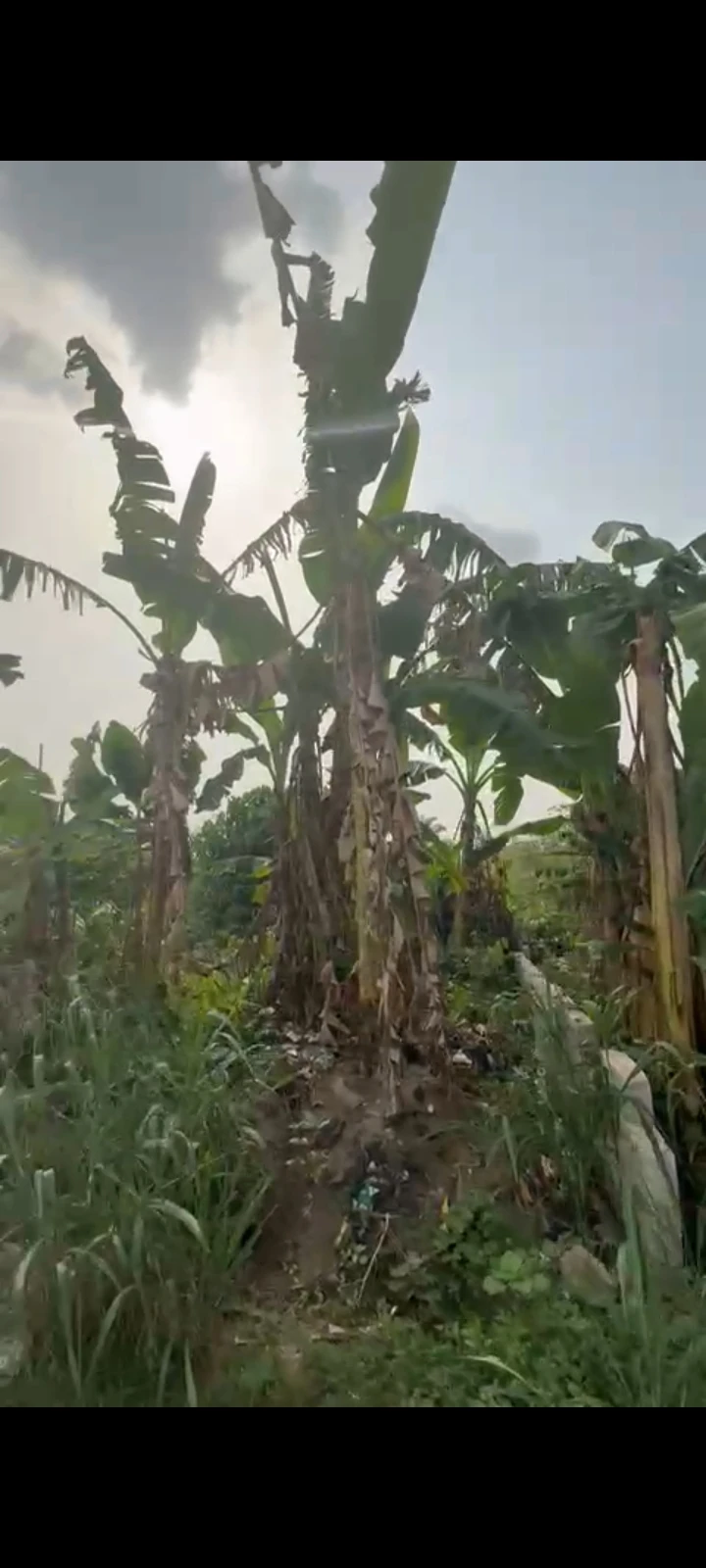 Land for Sale in CEDARWOOD ESTATE, SARS RD, Rivers - Image 1